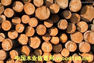 ��Ó�S��ľ����I(y��)������������ľ���cľ��Ʒ�Q(m��o)�״��