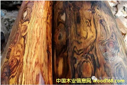 �V���S��������������ˮ��ɫ�ɼy���c�S�����^�ӽ�