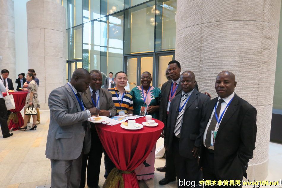 ����ľ�Ĵ�����_��ľ�I(y��)����ʢ����������Ⱥ���