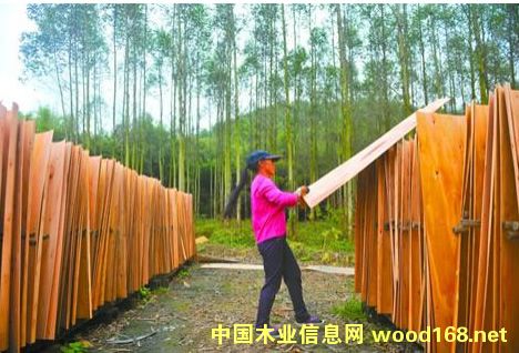 ���(sh��)ľ�ăr(ji��)�����µ�