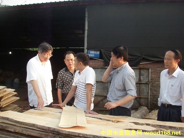 ݗ�ռ��g(sh��)��(y��ng)����ľ�ĸ��� ΢�ܻ�׌������׃�tľ