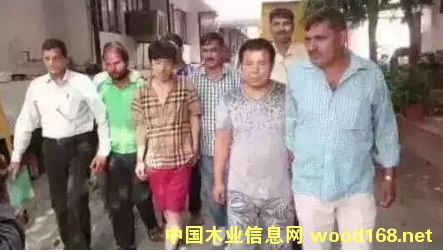 ӡ���µ���ľ����ٴΒ�ʎ��(d��ng)?sh��)�С�~��̴�_�l(f��)��