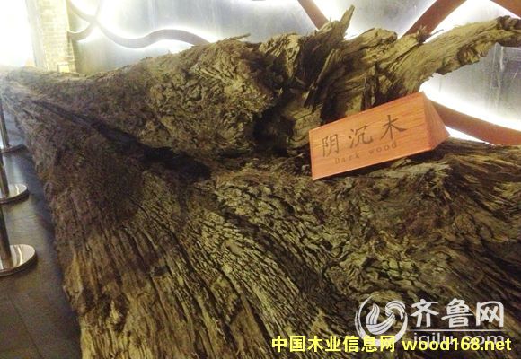 ľ�Ļ��L��չʾ��ꎳ�ľ