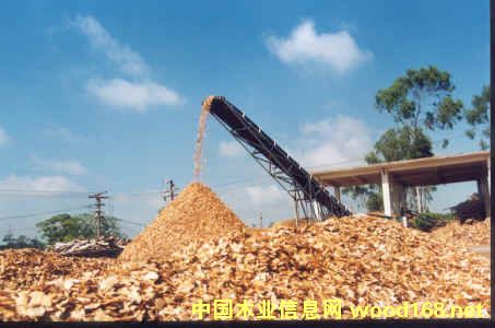 �����ֈ���ľƬ�����sľƬ