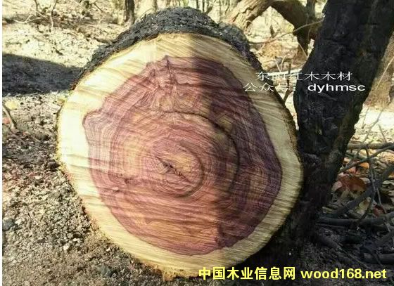 ���S̴(�������S�������������S����)ԭľ