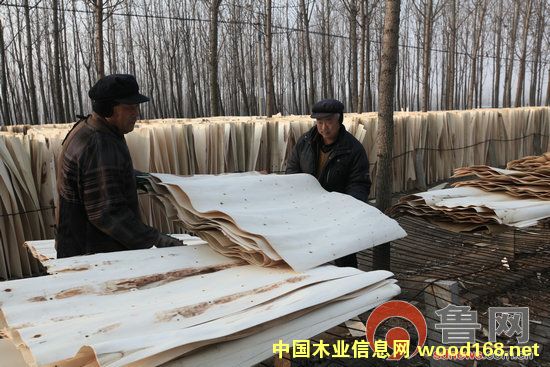 ɽ�|�R�ʣ�����ľƤ������ľƤ