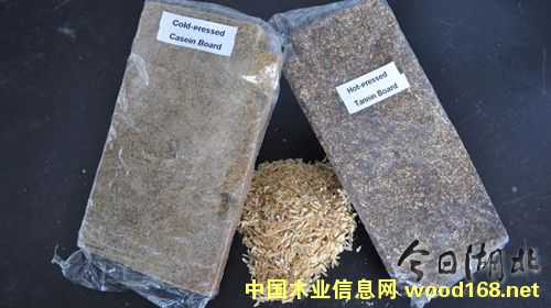 �����ٻ��壺����(j��ng)��(j��)���h(hu��n)�����־�