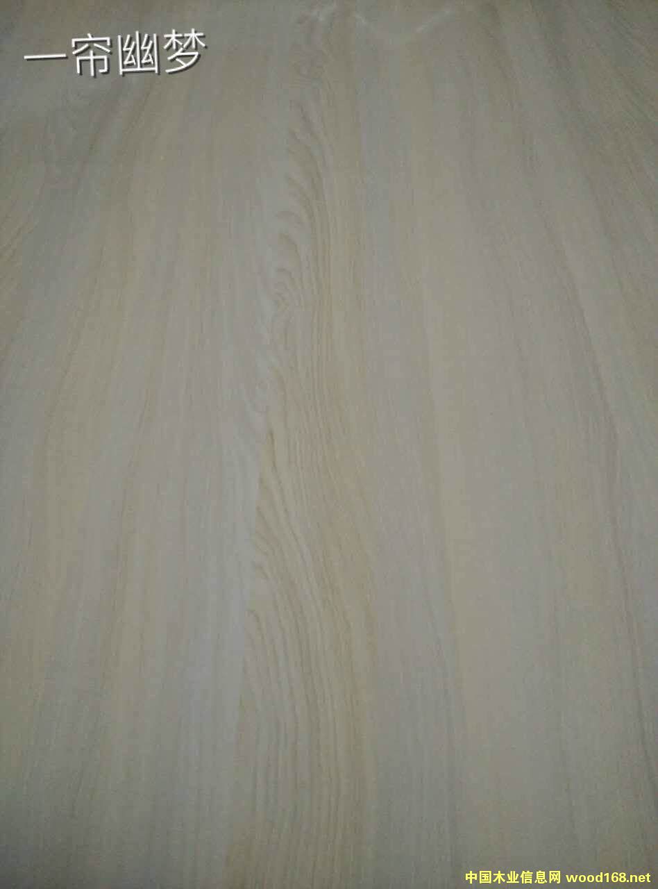 һ���ĉ�(m��ng)��Ԕ��(x��)��B