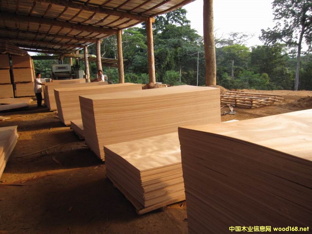 ȫ�W�����z�ϰ�