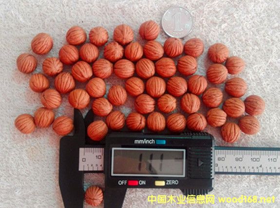 �c(di��n)���鿴����(gu��)���^���ҷŴ�DƬ