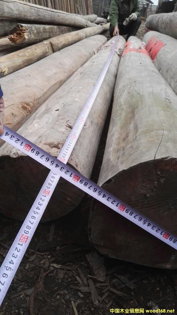 ����ľ��Ԕ��(x��)��B