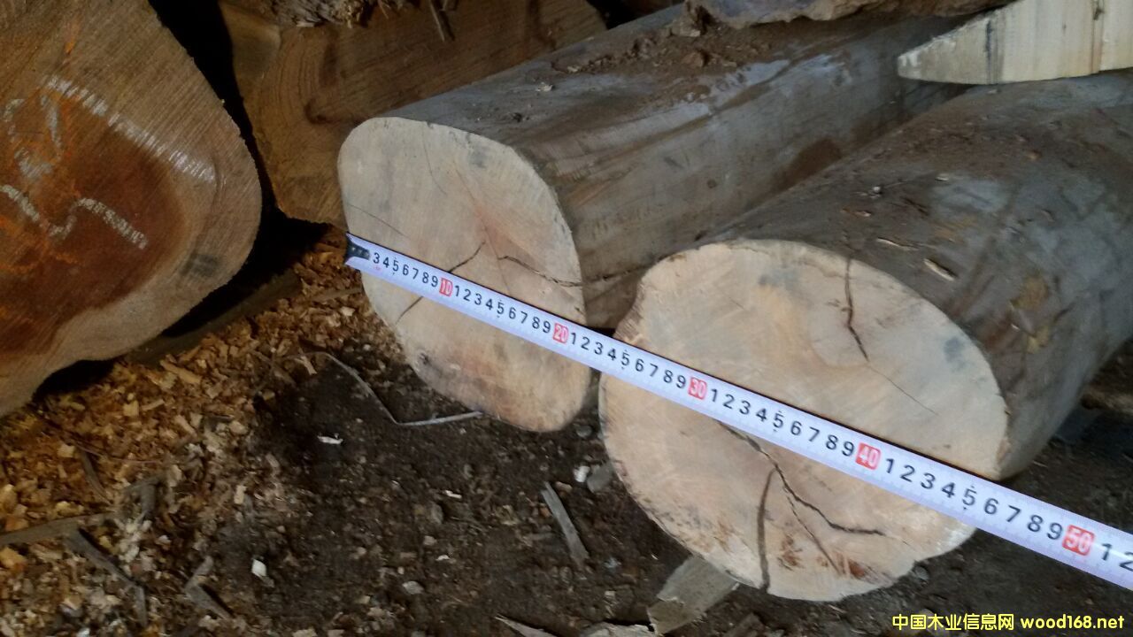 ����ľ��Ԕ��(x��)��B