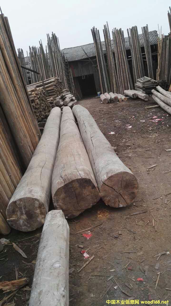 ľ��Ԕ��(x��)��B