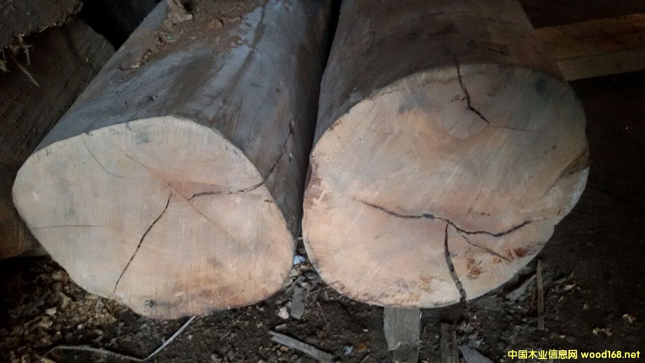 ����ľ��Ԕ��(x��)��B