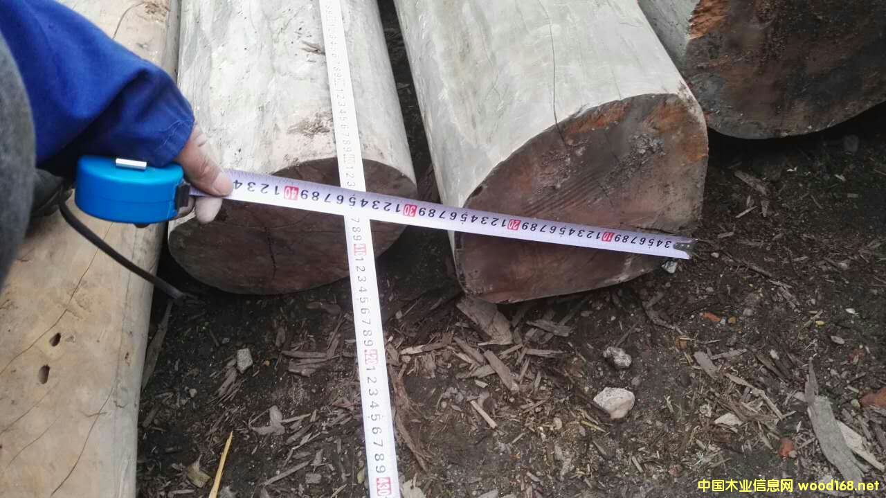 ����ľ��Ԕ��(x��)��B