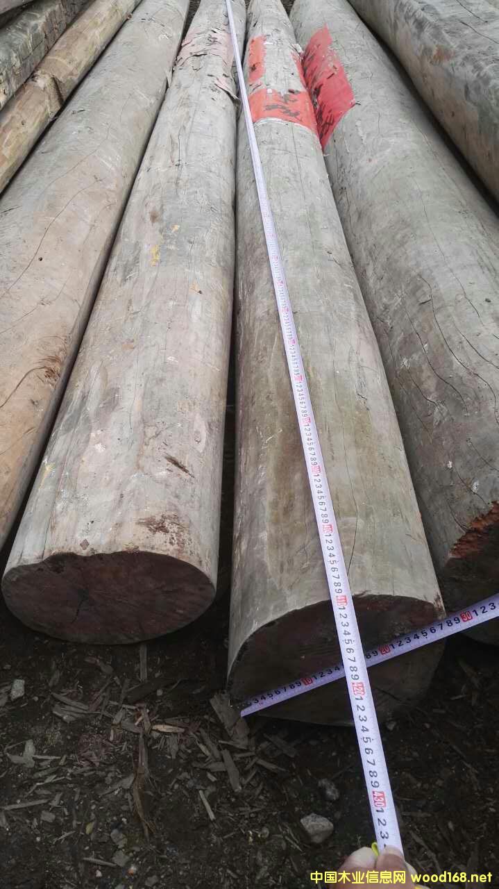 ľ��Ԕ��(x��)��B