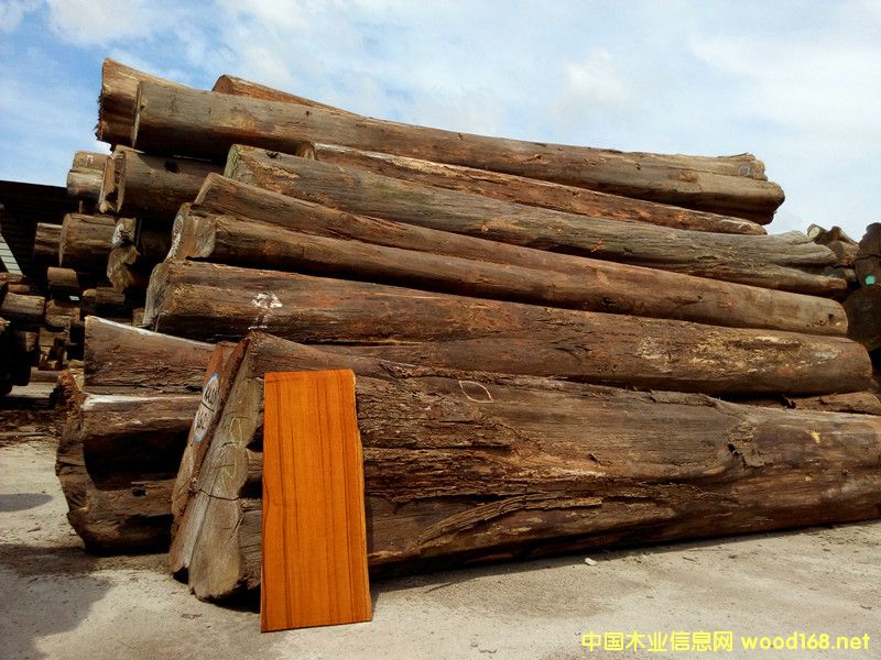 �ڽ���ľ��Ԕ��(x��)��B