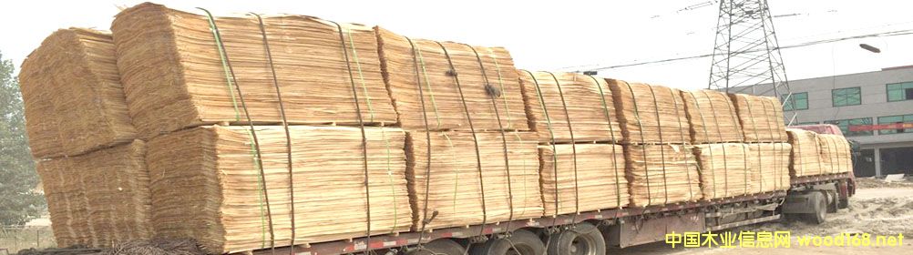 ݗ������Ƥ