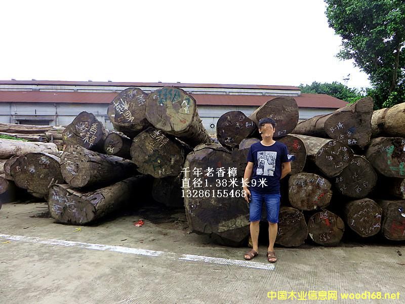 ǧ�곬������ԭľ