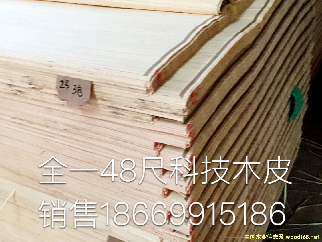 48�߿Ƽ�ľƤ��Ԕ��(x��)��B