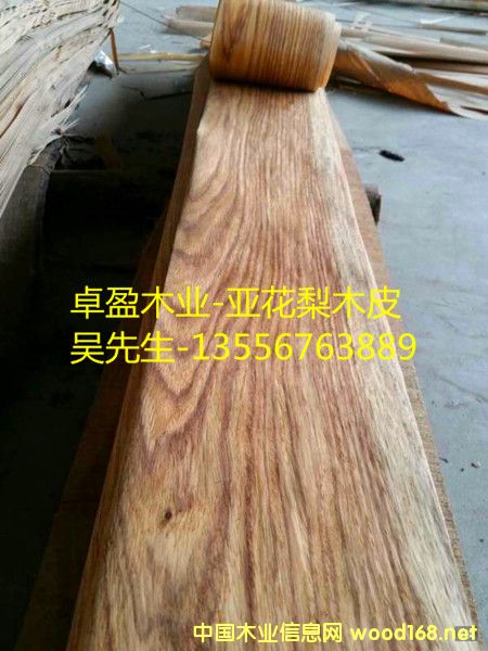 ������ľƤ