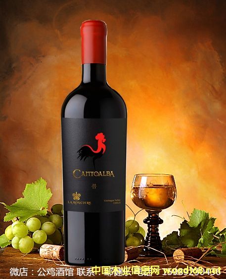 С���u 피������� �t���Ѿ�