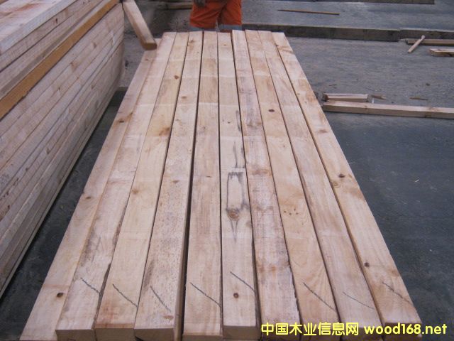 �����ɹ��I(y��)���o�{׃ݗ����