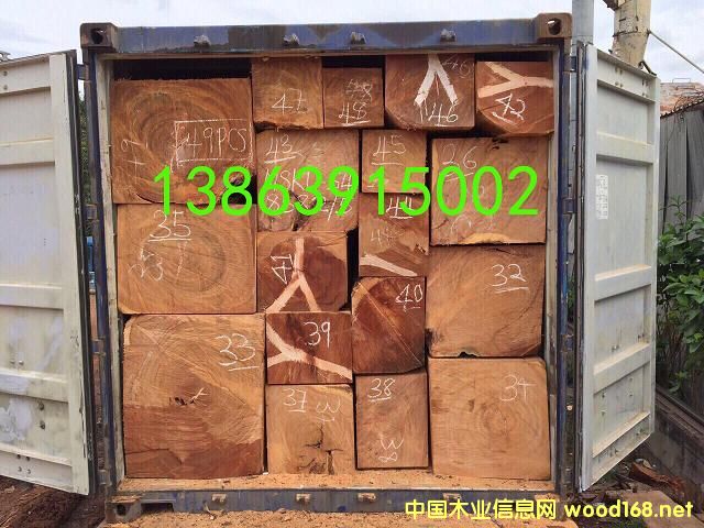 [��] 2016�����b����ľAfzelia,Doussie