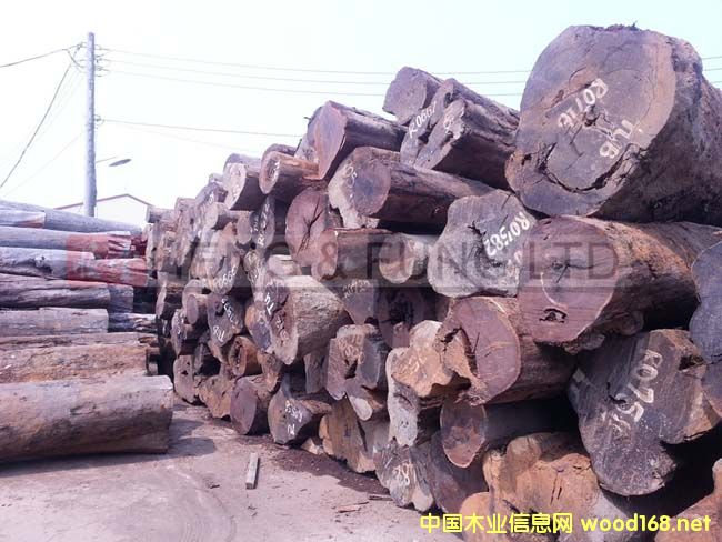 ���_�T����̴ԭľ��Ԕ����B