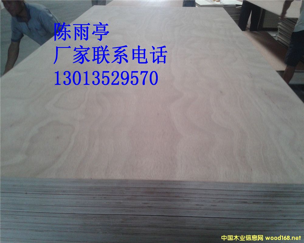 [��] ����(y��ng)�W����(���) 15mm��о�z�ϰ�