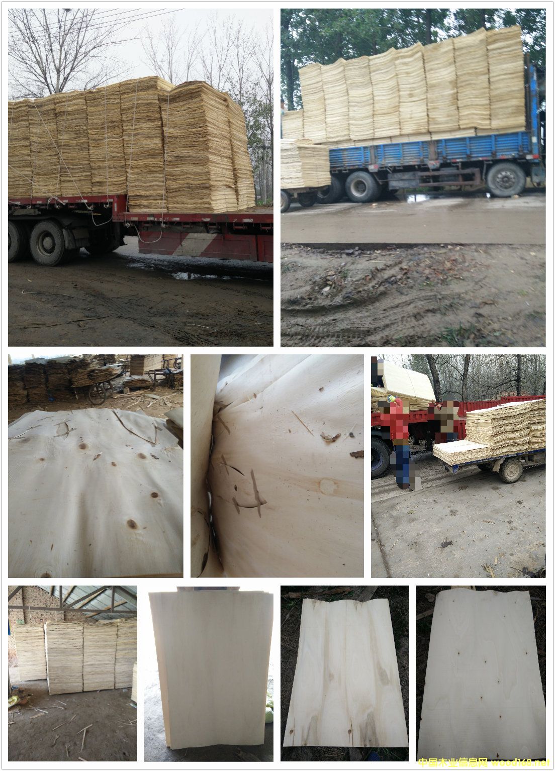 �����o������Ԕ����B