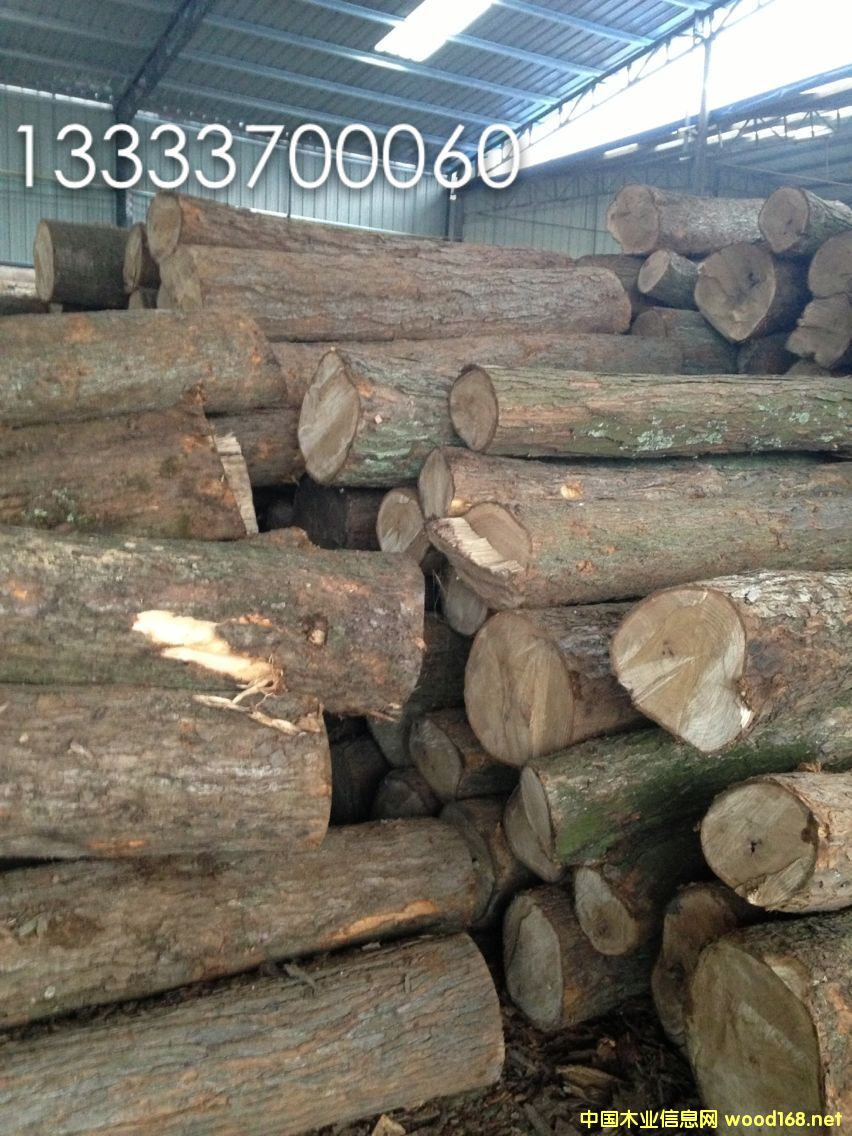 �ľ���۵�Ԕ����B