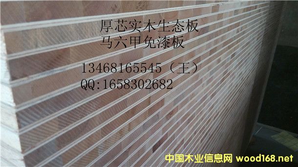 16���������B(t��i)�幤�S