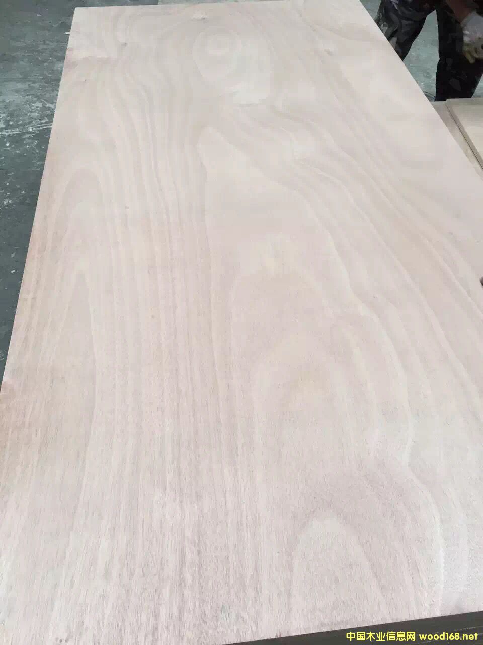 �c(di��n)���鿴���⵶ģ�� �и��ٶȿ�Ŵ�DƬ