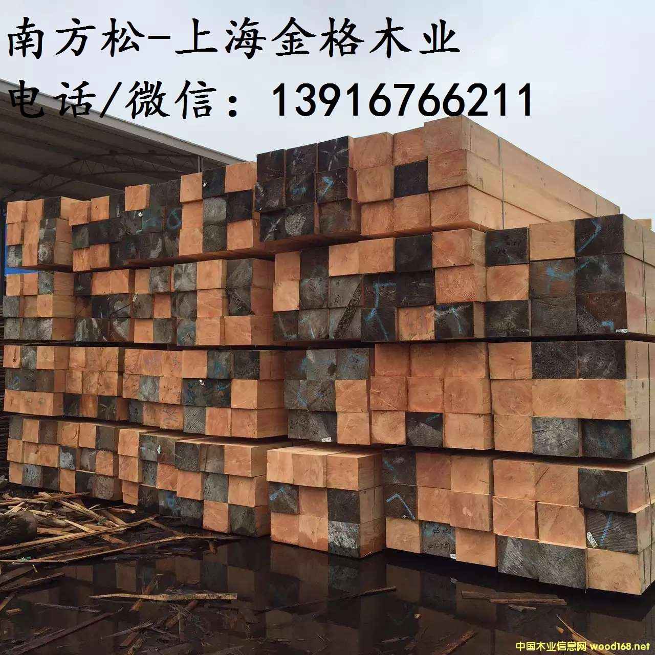 �Ϸ�����������