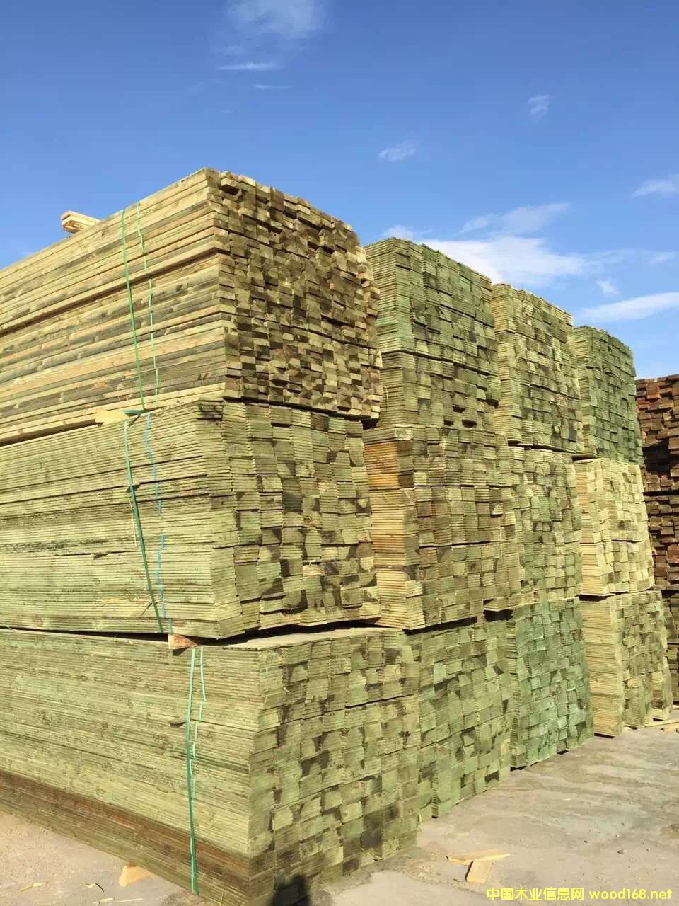 ����ľ���÷�ù��