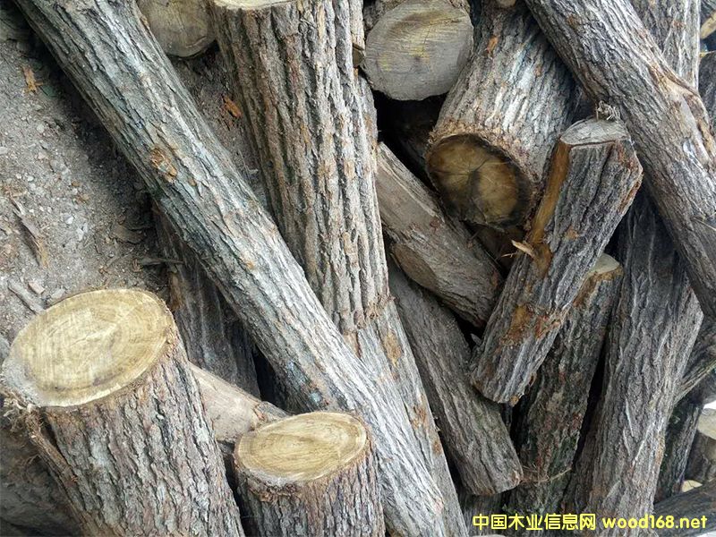 ԭľ����ľ����ľ������ľ��