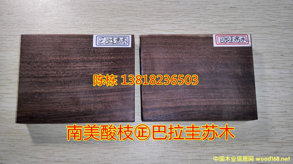 ������֦�������Kľţ��ľ��z̴����̴����С�~��̴���޺��S̴