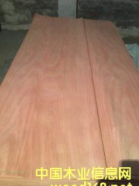 �һ�о�ΰ��Ԕ����B