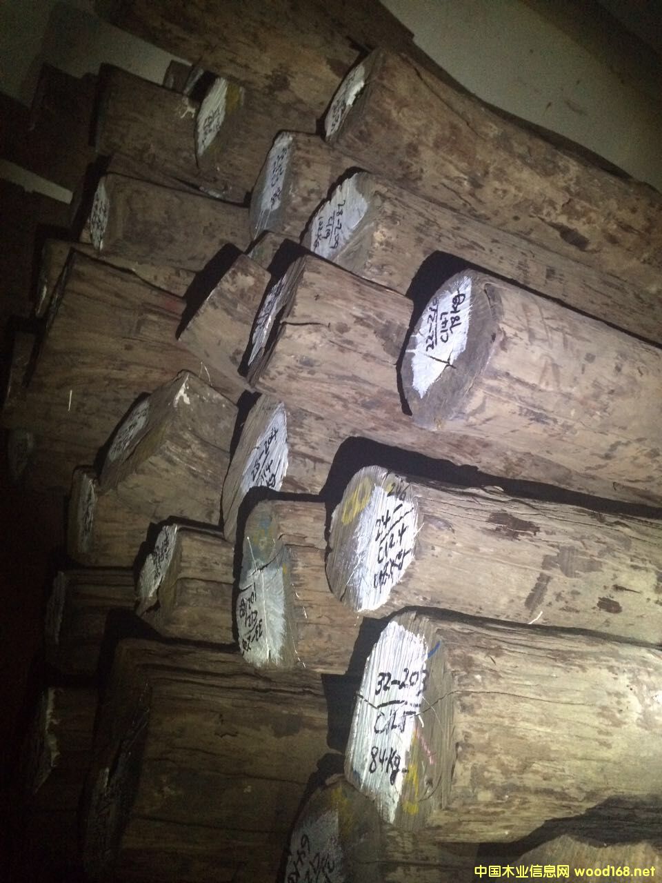 �ϓ��t��֦����ֺ�S̴��