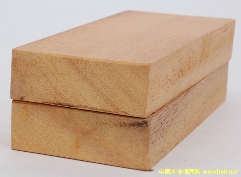 ���¼t�����^ľ�ĵ�Ԕ����B