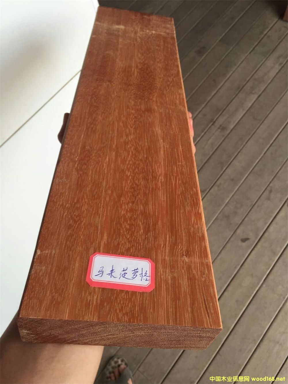 �R�����}���M��ľ�ĵ�Ԕ����B