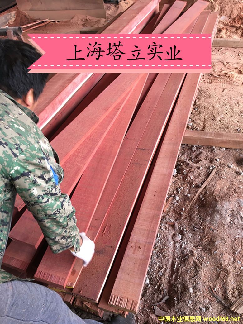 ���¼t�������ľ�Ĉ@�־��^�����ذ��y����ľ�ڂ��ҵ�Ԕ����B