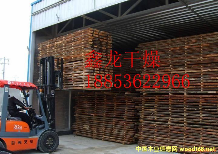 ������Ԕ��(x��)��B