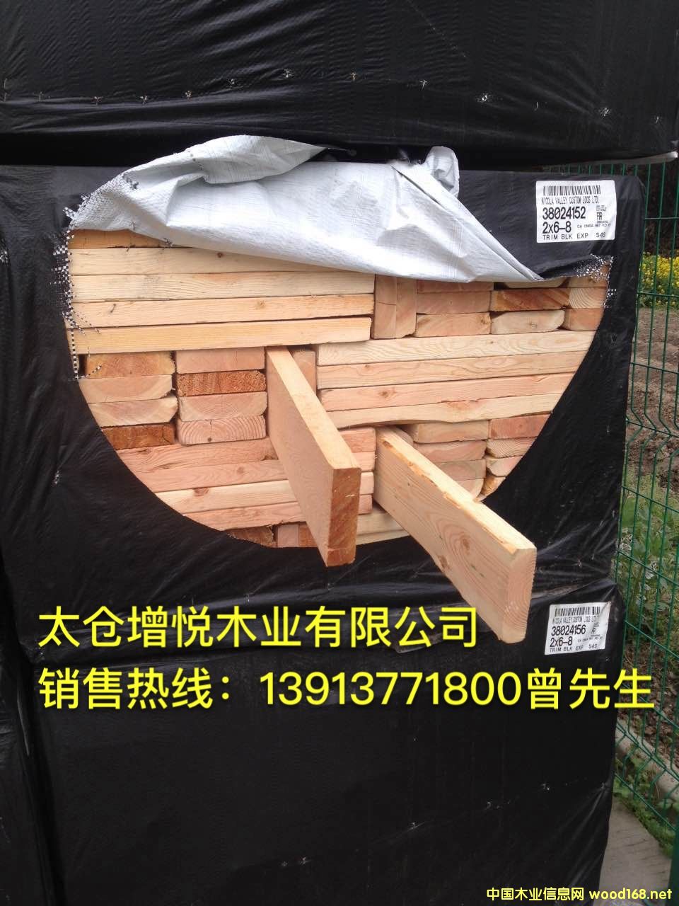 ̫�}�������l(f��)���ɶ������Fɼ���ϣ��������