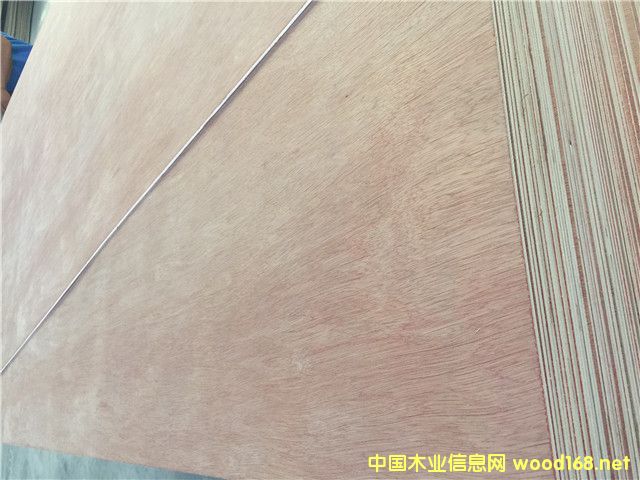 Bintangor Plywood 1
