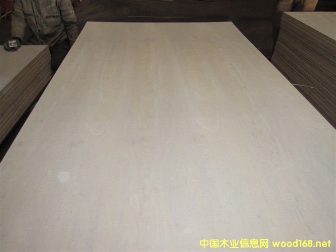 松木的詳細(xì)介紹