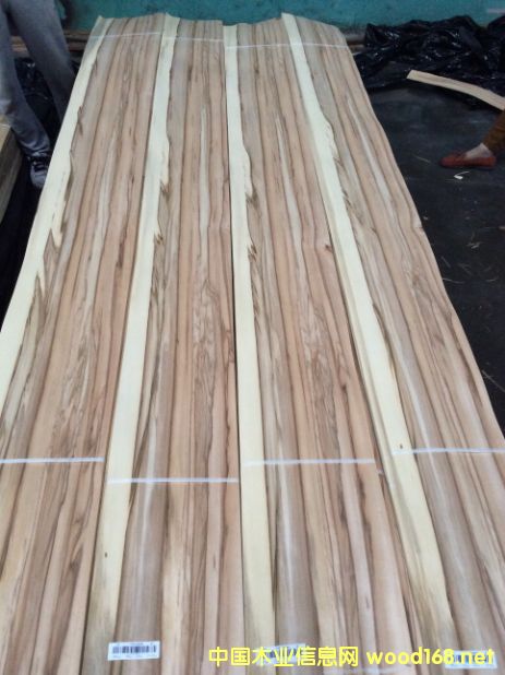 ����ľ���O��ľ��