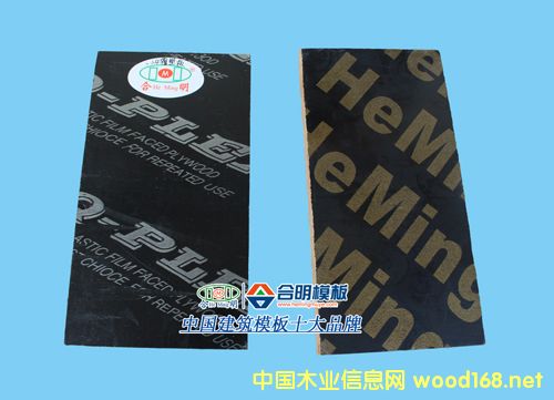 ������֬��Ĥ��