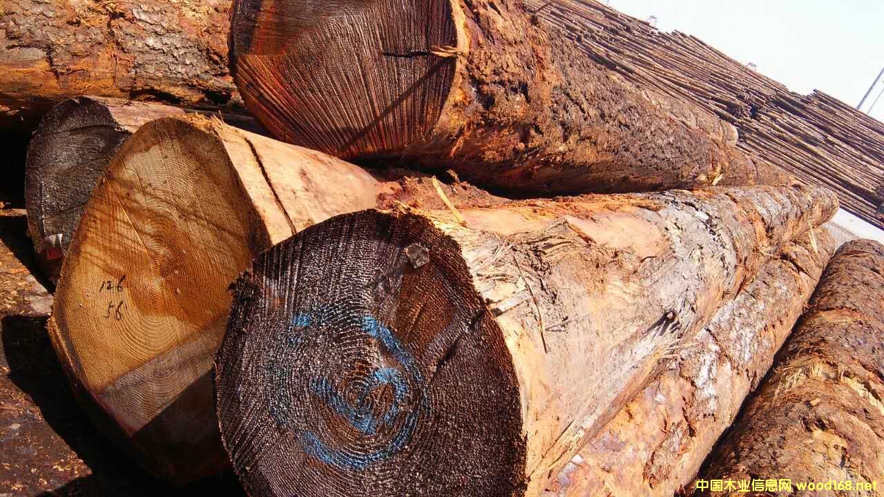 ������ԭľ���󏽱�����